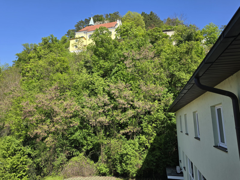2823 PITTEN:   SONNIGE ZWEIZIMMER- MIETWOHNUNG IM ZENTRUM!