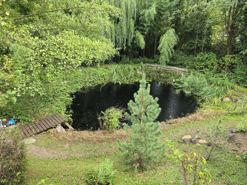 2822 BAD ERLACH:  WOHNEN IM EINKLANG MIT DER NATUR IN ABSOLUTER RUHELAGE! – Bild 10