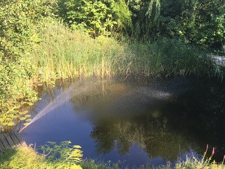 2822 BAD ERLACH:  WOHNEN IM EINKLANG MIT DER NATUR IN ABSOLUTER RUHELAGE! – Bild 9